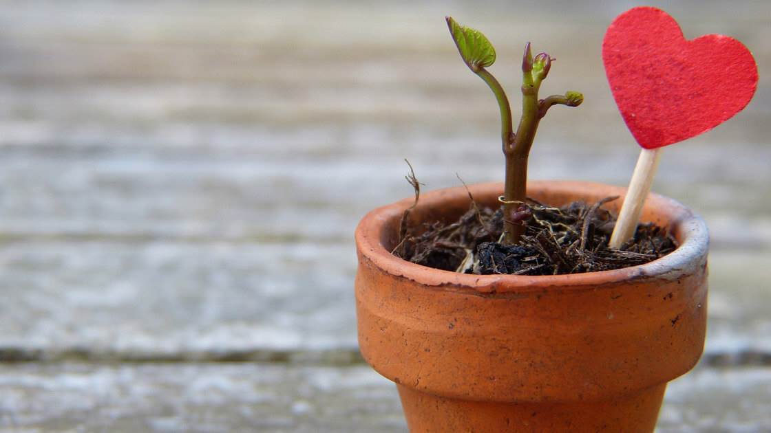 Zostawiasz pieniądze na stole, czyli jak wyciągnąć więcej ze swojej firmy?