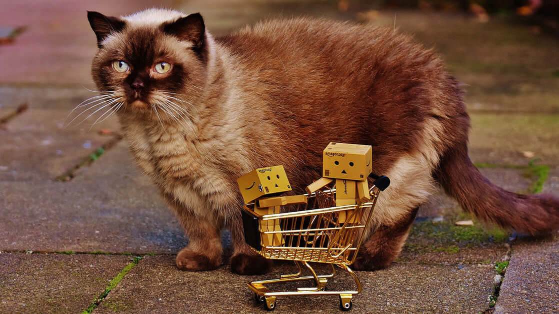 Czego chcą Klienci, czyli jak zadowolić swoich Klientów?