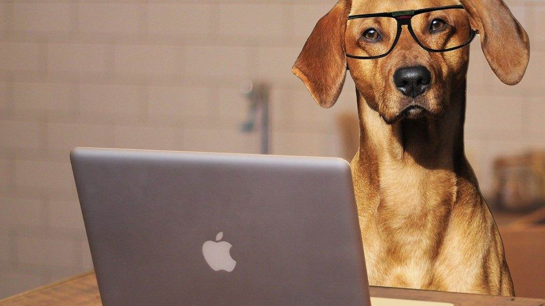 Jak zorganizować kampanię promocyjną w sklepie internetowym krok po kroku