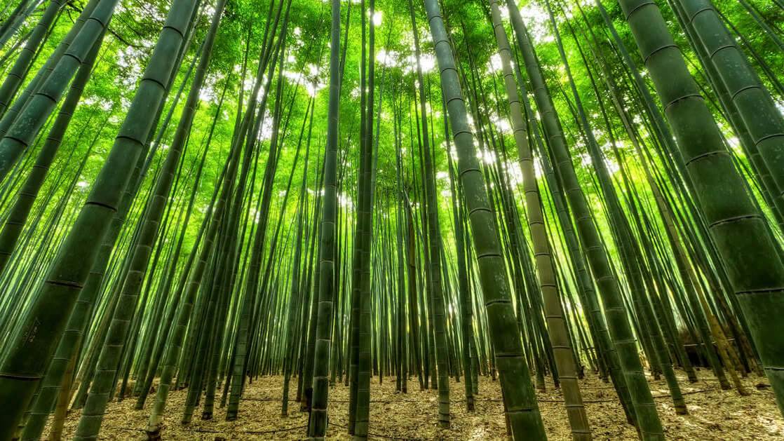 Jak zwiększyłem zysk o 14 procent pracując dziennie o 10 minut dłużej?