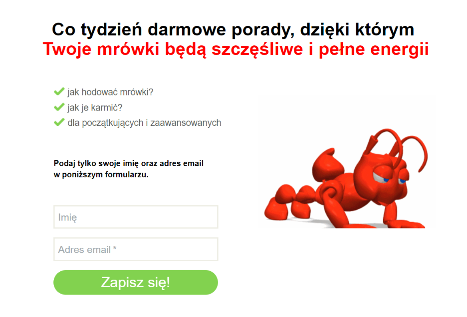 Przykład gotowego landing page z pobraniem ebooka
