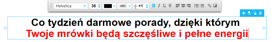 Nagł&oacute;wek na landing page