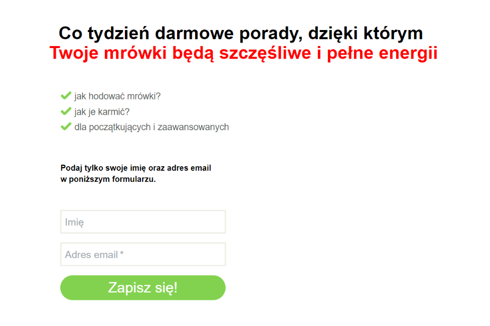 Opis na landing page do zapis&oacute;w na newsletter
