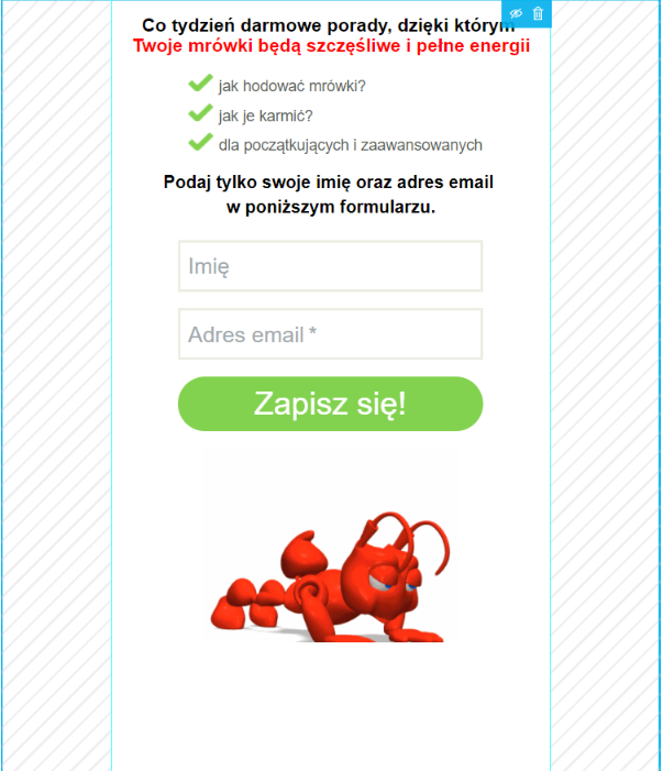 Przykład wersji mobilnej landing page z zapisami na newsletter