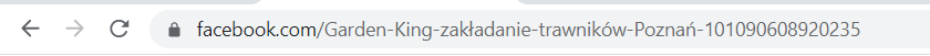 Domyślny adres URL fanpage