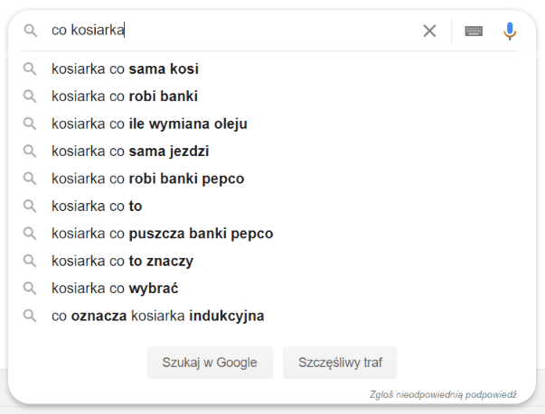 Jak napisać opis produktu / usługi pod SEO Google: CO