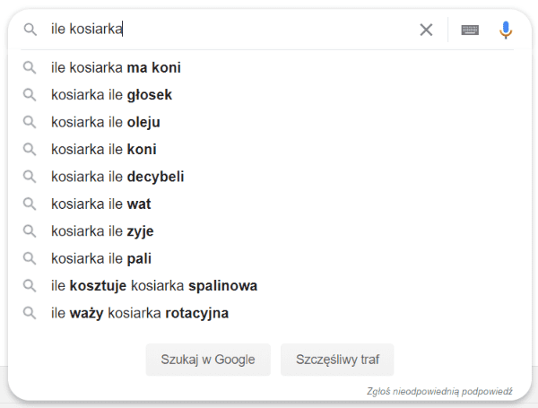 Jak napisać opis produktu / usługi pod SEO Google: ILE