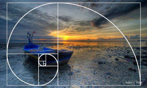 Zdjęcie - złoty podział