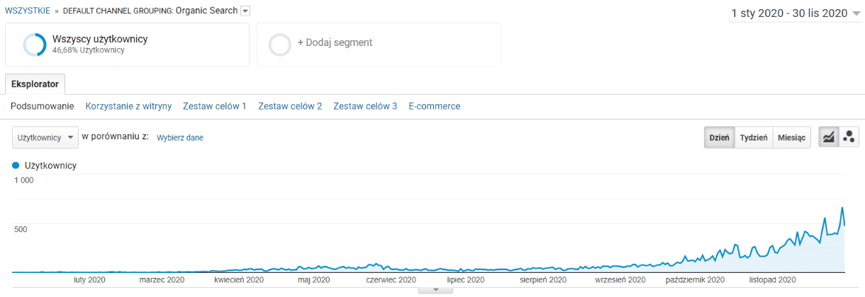 SEO sklepu internetowego po 11 miesiącach
