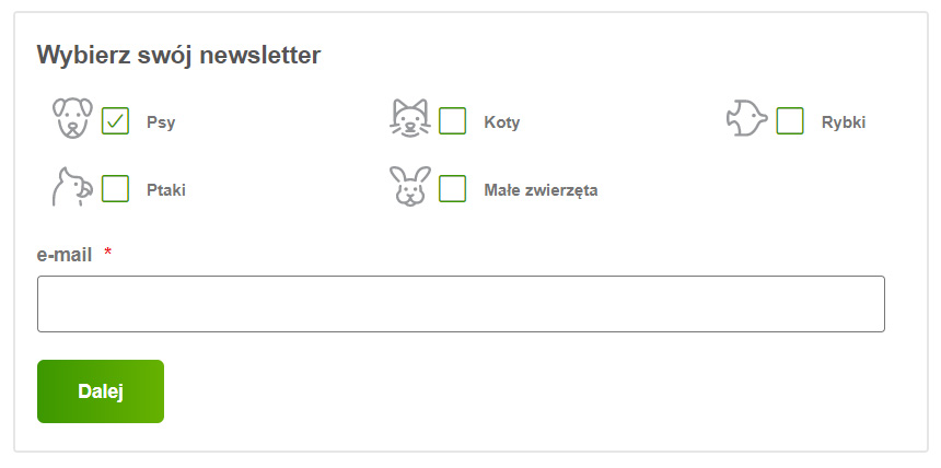 Przykład segmentacji - zapis na newsletter