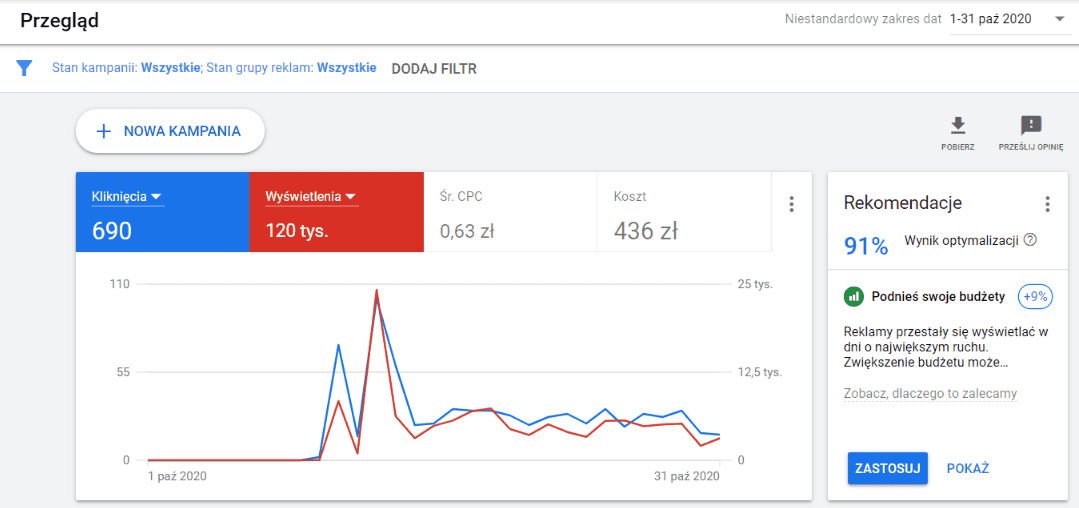 Reklamy sklepu internetowego w Google ads - pierwszy miesiąc