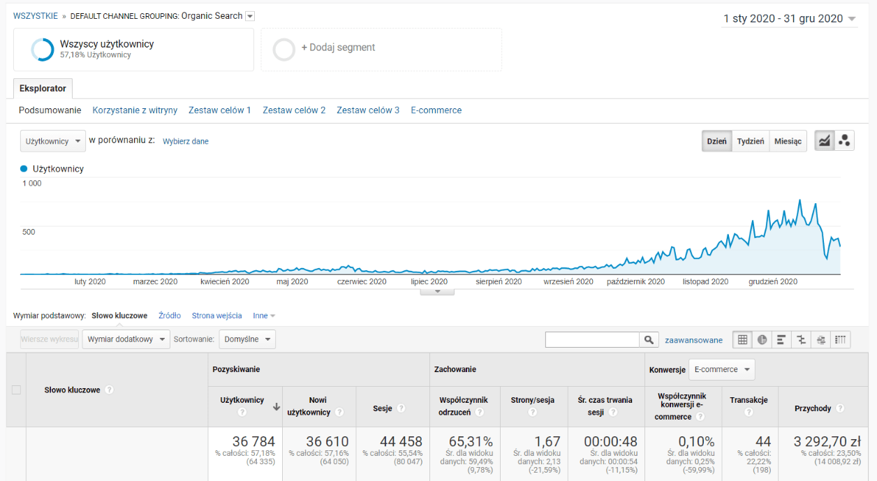 SEO sklepu internetowego po 12 miesiącach
