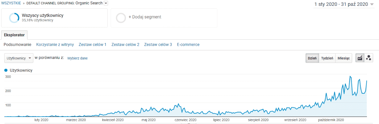 SEO sklepu internetowego po 10 miesiącach