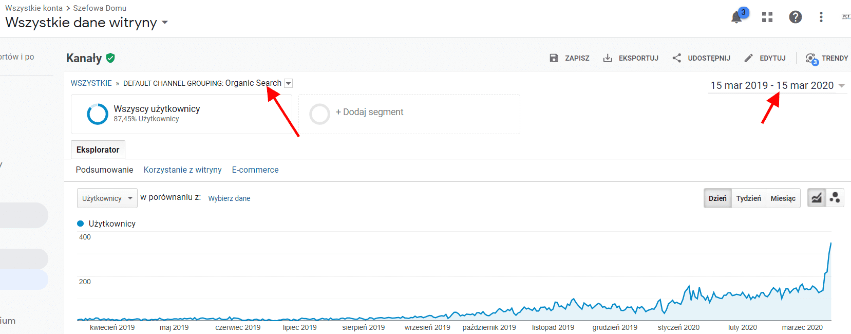 Statystyki SEO - 12 miesięcy