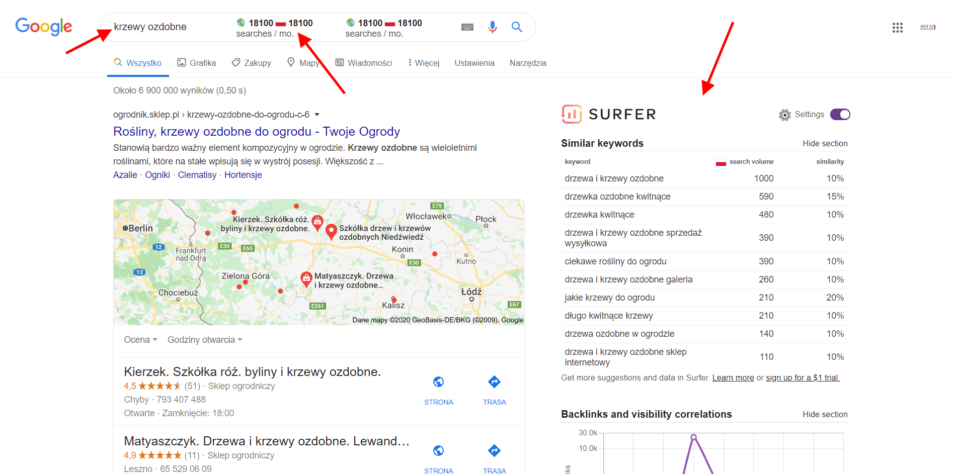 Szukanie sł&oacute;w kluczowych w Keywords Surfer