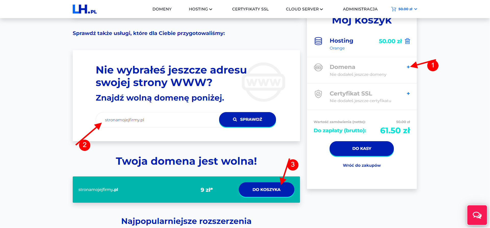 Zakup domeny