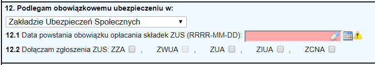 Jednoosobowa działalność gospodarcza - formularz - krok 9
