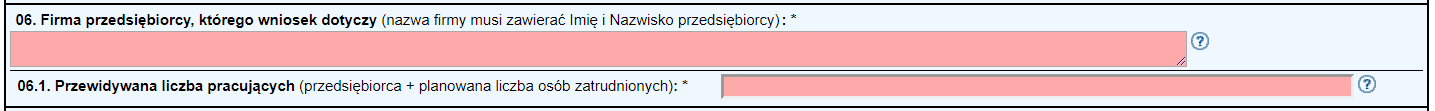Jednoosobowa działalność gospodarcza - formularz - krok 4