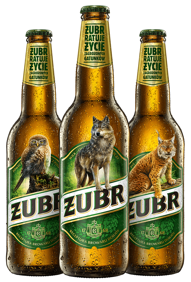 Piwo żubr - akcja ratowania zagrożonych gatunk&oacute;w