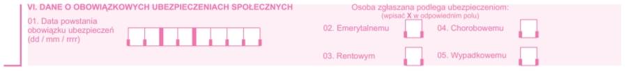 Jak wypełnić ZUS ZUA - krok 2